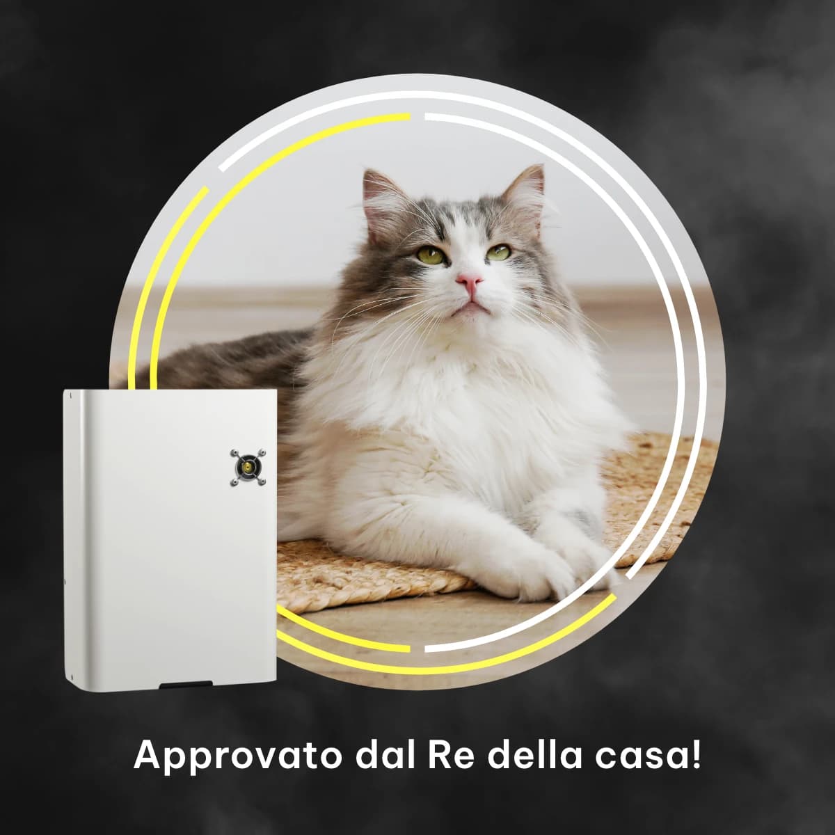 Un gatto disteso su una stuoia accanto a un nebbiogeno Concept installato a parete, con la scritta «Approvato dal Re della casa!».